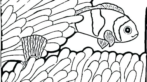 Coloring Pages Of Ocean Fish at GetColorings.com | Free printable ...