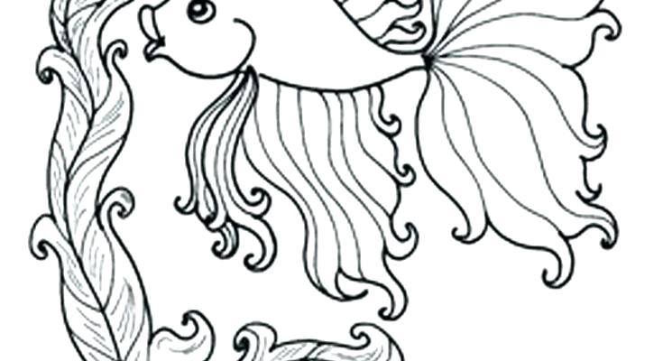 735x400 Ocean Life Coloring Pages Ocean Fish Coloring Pages Ocean Life