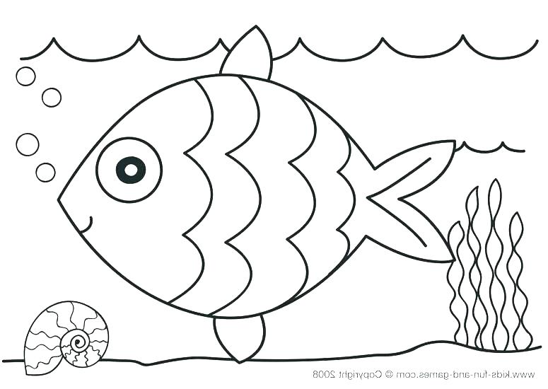 775x550 Fish Color Pages Ocean Fish Coloring Pages Fish Color Pages As