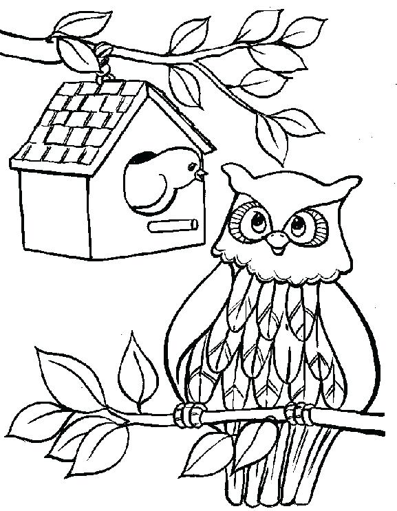 Owl Color Page Owl Color Page Great Coloring Pages Owls Gallery 577x743 Owl Color Page Owl Color Page Great Coloring Pages Owls Gallery