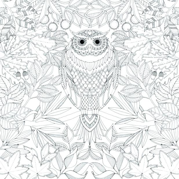 Owl Coloring Page Owl Mandala Coloring Page Coloring Page Of Owl 618x618 Owl Coloring Page Owl Mandala Coloring Page Coloring Page Of Owl