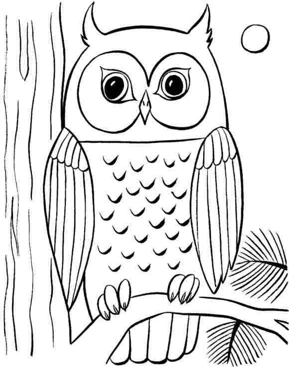 Owl Drawings For Kids 580x738 Owl Drawings For Kids