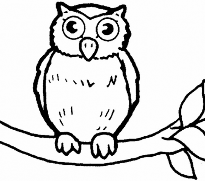 Coloring Pages Of Owls For Kids at GetColorings.com | Free printable ...