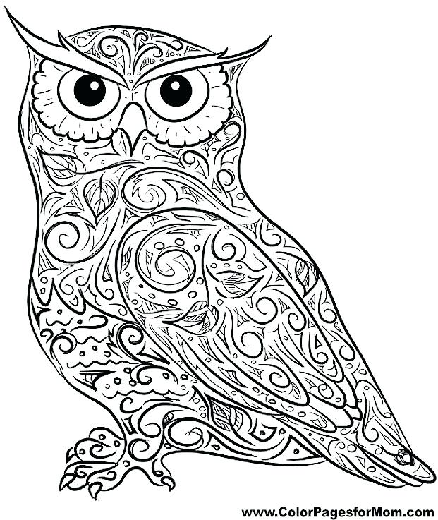 Printable Owl Coloring Pages Owl Eye Coloring Page Download Print 621x737 Printable Owl Coloring Pages Owl Eye Coloring Page Download Print