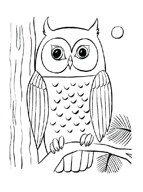 Printable Owl Coloring Pages Together With Barn Owl Coloring Page 560x750 Printable Owl Coloring Pages Together With Barn Owl Coloring Page