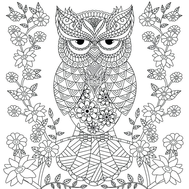 736x736 Adult Coloring Pages Owls Coloring Pages Of Peoples Names