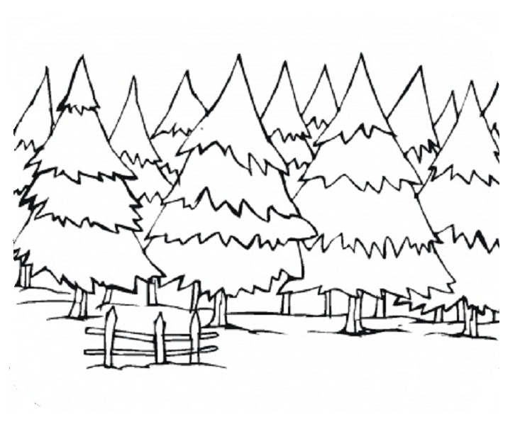 733x595 Pine Trees Coloring Pages Coloring Pages