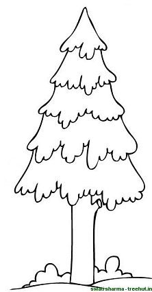 222x425 Trees Coloring Page