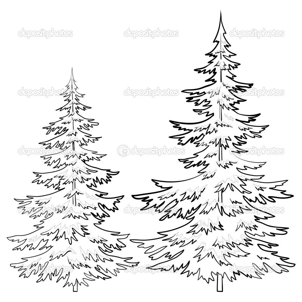1024x1024 Awesome Pine Tree Drawings Black And White Free Coloring Pages