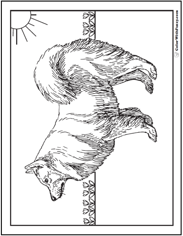 590x762 Dog Coloring Pages Breeds, Bones, And Dog Houses