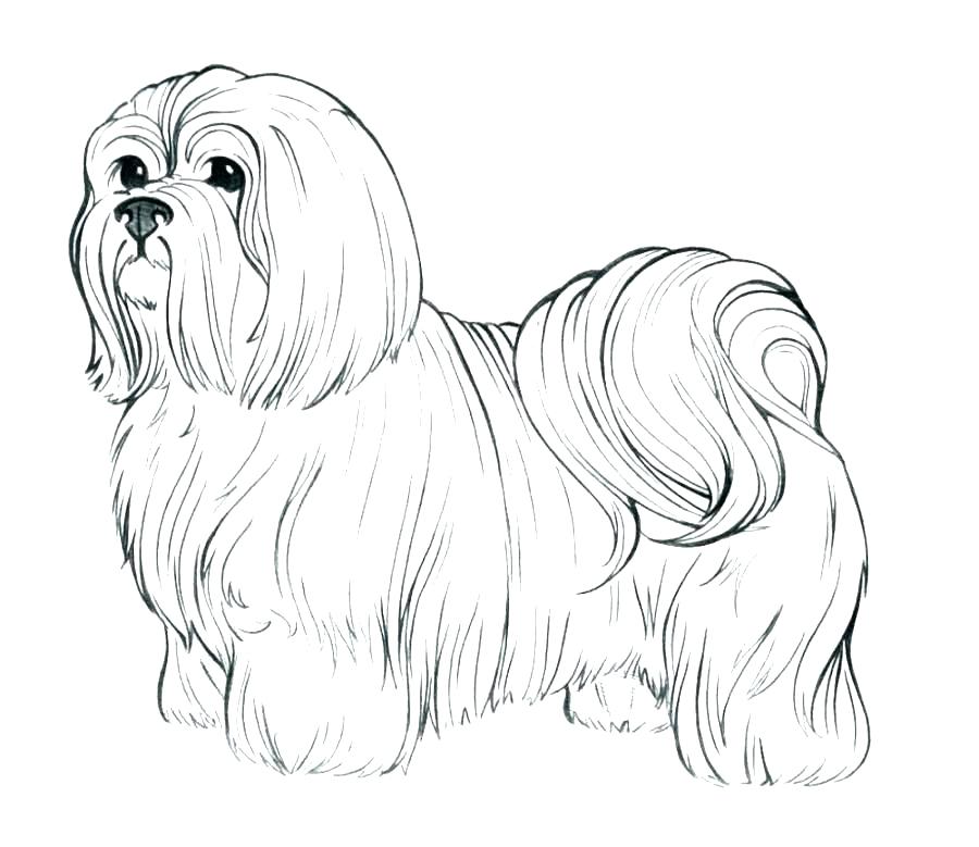 900x779 Realistic Coloring Pages Realistic Dog Coloring Pages 7 Realistic