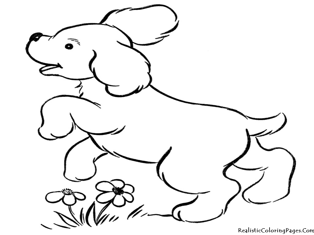 1024x768 Realistic Dog Coloring Pages Printable
