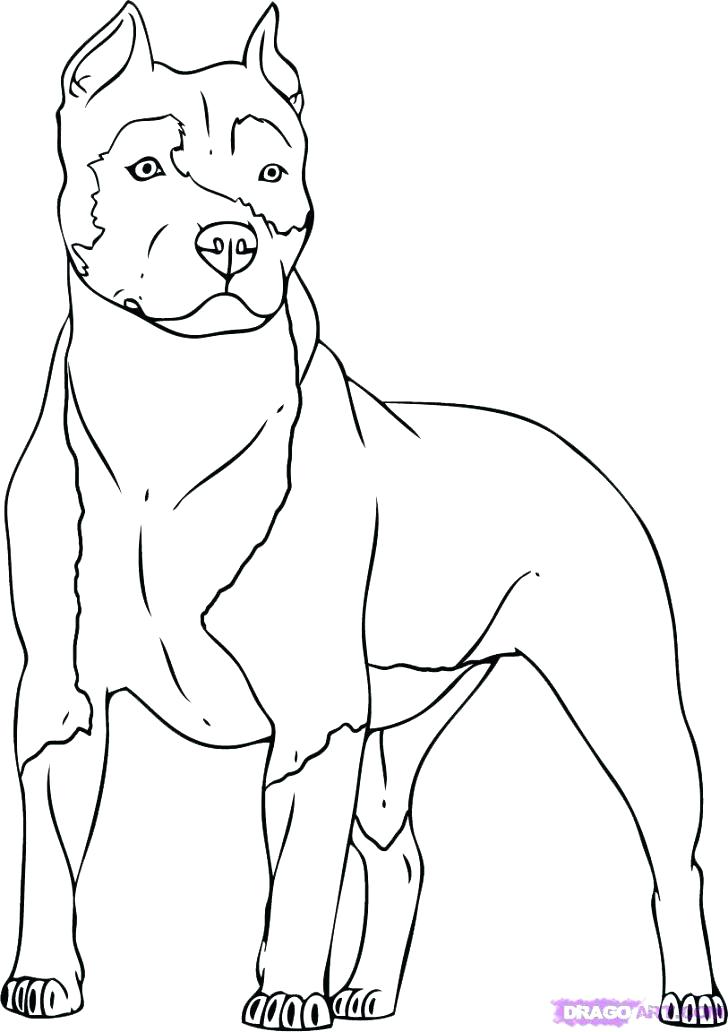 728x1032 Realistic Dog Coloring Pages Realistic Wolf Coloring Pages