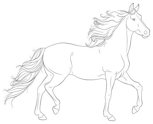 500x403 Trendy Inspiration Realistic Horse Coloring Pages To Print