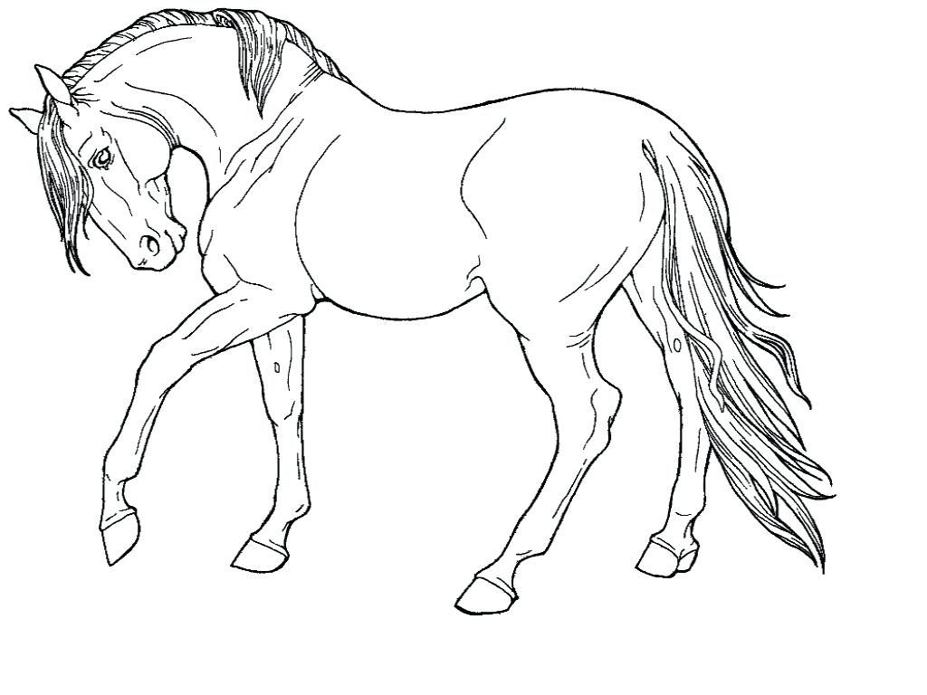 1024x768 Coloring Pages ~ Horse Coloring Pages And Mule Free Realistic