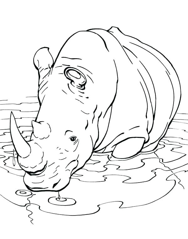 Rhino Beetle Coloring Pages Rhinoceros Coloring Page Rhinoceros 600x763 Rhino Beetle Coloring Pages Rhinoceros Coloring Page Rhinoceros