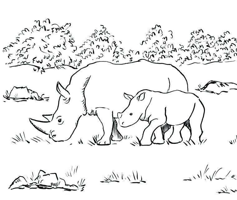 Rhino Coloring Page Rhino Coloring Page Baby Rhino Coloring Page 760x641 Rhino Coloring Page Rhino Coloring Page Baby Rhino Coloring Page