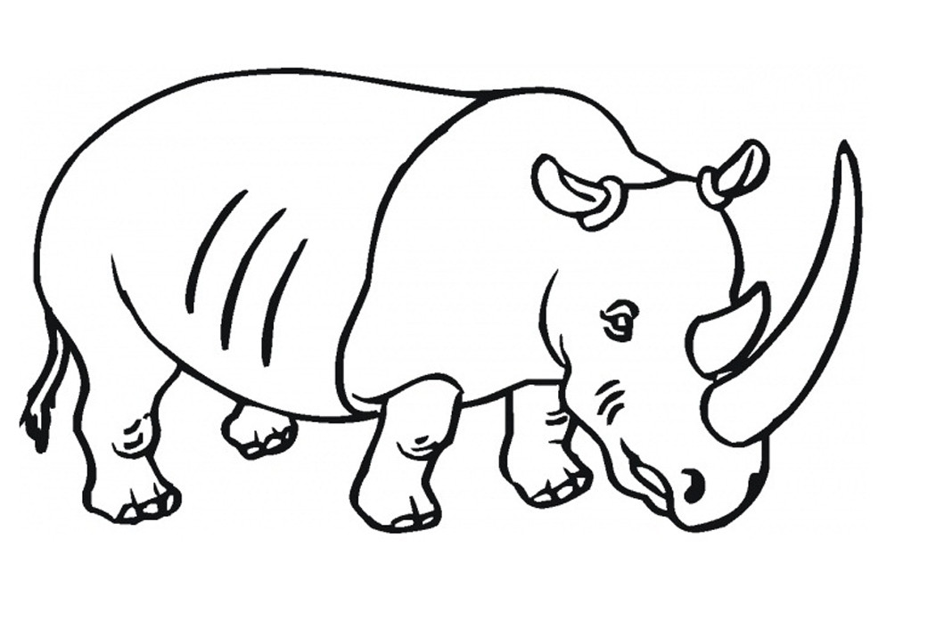 Coloring Pages Of Rhinos at GetColorings.com | Free printable colorings ...