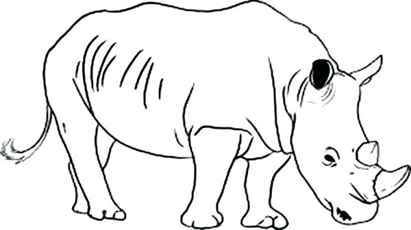 Rhino Coloring Pages Rhino Coloring Page Wild Animal Rhino 600x336 Rhino Coloring Pages Rhino Coloring Page Wild Animal Rhino