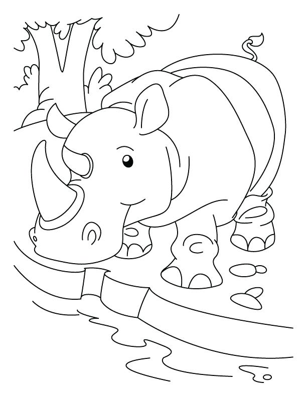 Black Rhino Coloring Pages Rhinoceros Quenching His Thirst 612x792 Black Rhino Coloring Pages Rhinoceros Quenching His Thirst