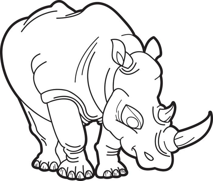 Rhinoceros Coloring Page Rhinoceros, Rhinos And Free Printable 700x594 Rhinoceros Coloring Page Rhinoceros, Rhinos And Free Printable