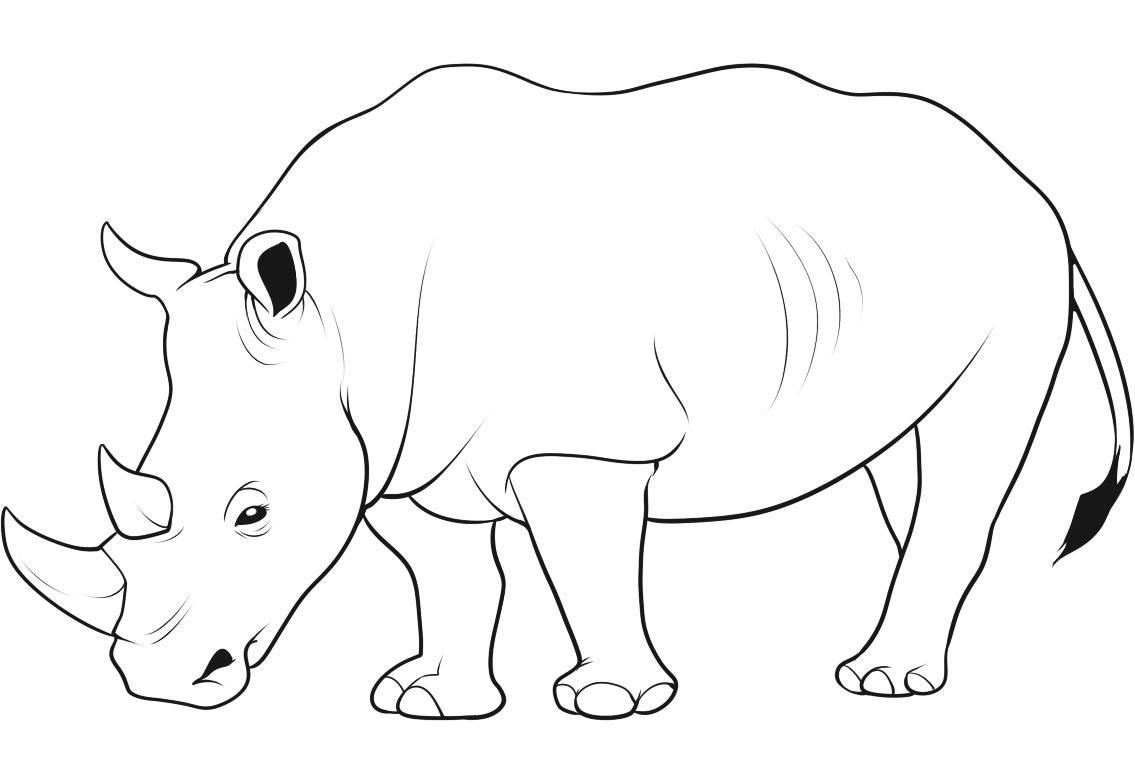 Unique Rhinoceros Coloring Page Gallery Printable Coloring Sheet 1135x759 Unique Rhinoceros Coloring Page Gallery Printable Coloring Sheet