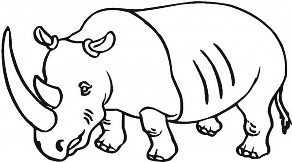 Drawing Rhino Coloring Pages Batch Coloring 600x333 Drawing Rhino Coloring Pages Batch Coloring