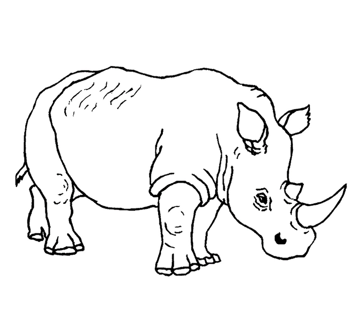 Enormous Rhino Coloring Page Pages Printable New Free Rhinoceros 1143x1061 Enormous Rhino Coloring Page Pages Printable New Free Rhinoceros