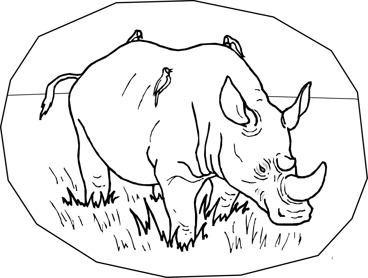 Free Printable Rhinoceros Coloring Pages For Kids Fine Rhino Page 1287x974 Free Printable Rhinoceros Coloring Pages For Kids Fine Rhino Page
