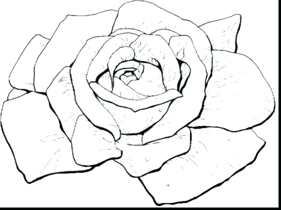970x727 Coloring Pages Roses Coloring Roses Free Coloring Pages