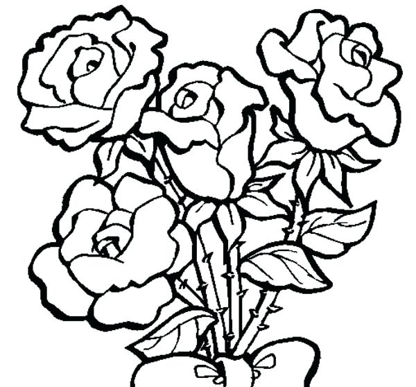 600x558 Coloring Pages Roses Four Roses In Rose Coloring Page Coloring
