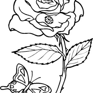 300x300 Rose From Garden Coloring Page