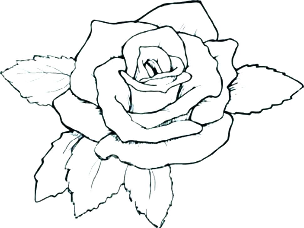 970x728 Roses And Hearts Coloring Pages
