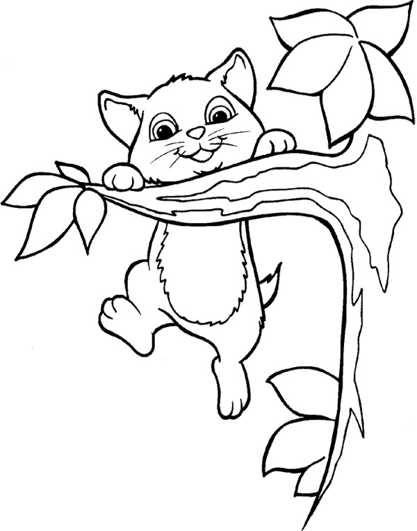 Branch Tree And Cat Coloring Page Tree 600x764 Branch Tree And Cat Coloring Page Tree