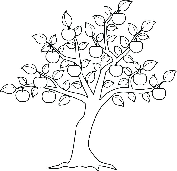 Coloring Pages Tree Cute Tree Without Leaves Colouring Pages 736x708 Coloring Pages Tree Cute Tree Without Leaves Colouring Pages