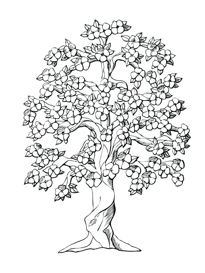 And Family Tree Coloring Pages Printable Colouring To Together 688x917 And Family Tree Coloring Pages Printable Colouring To Together
