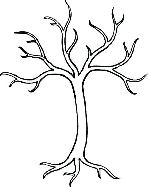 Bare Tree Branches Coloring Page Bare Tree Without Leaves Coloring 500x625 Bare Tree Branches Coloring Page Bare Tree Without Leaves Coloring