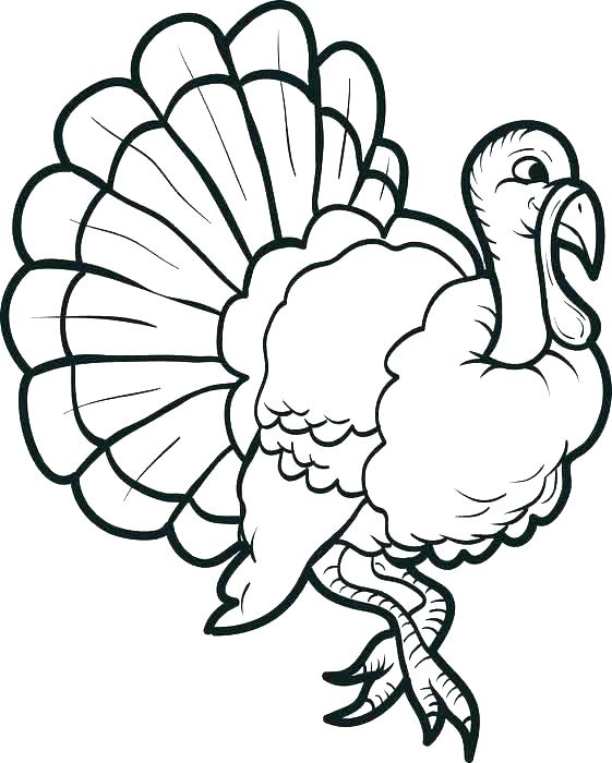 561x700 Turkey Coloring Pages Printable Turkey Coloring Pages Drawing