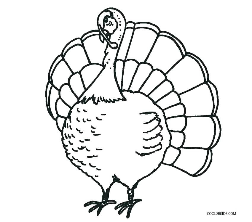 850x750 Coloring Page Turkey Coloring Page Of Turkey Full Size Of Coloring