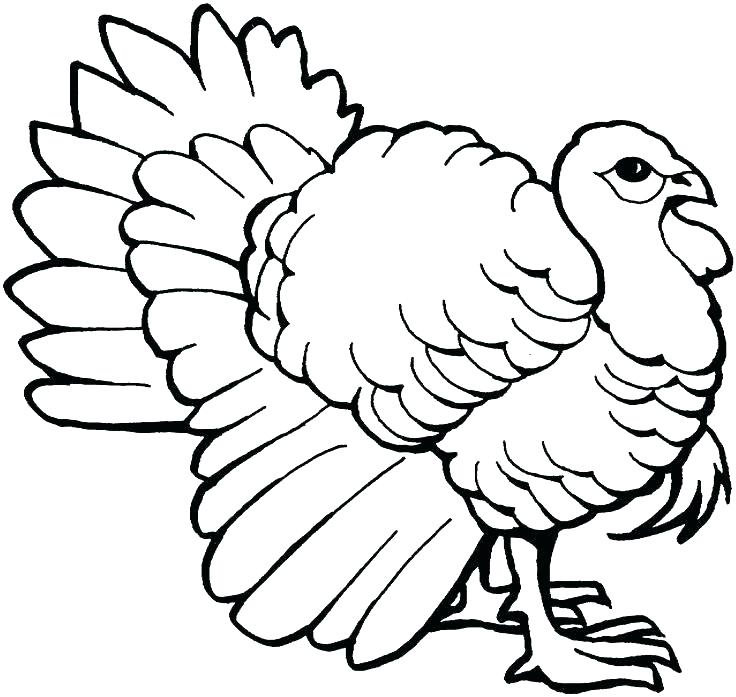 736x697 Coloring Page Turkey Thanksgiving Coloring Pages Printable Turkey