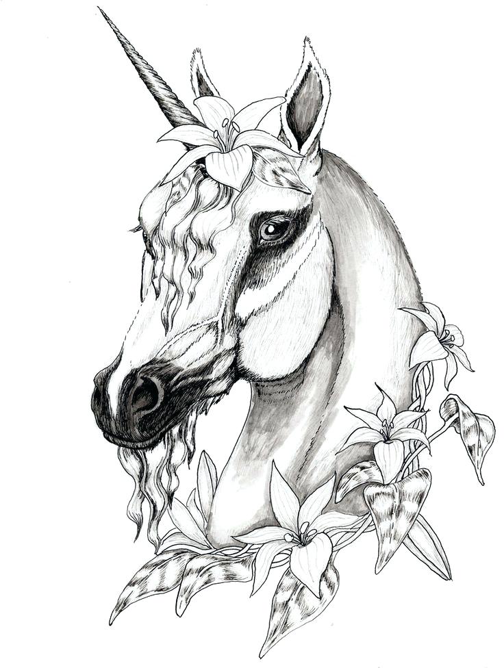 Pegasus Coloring Pages Unicorn Coloring Page Free Beyblade Metal 736x976 Pegasus Coloring Pages Unicorn Coloring Page Free Beyblade Metal