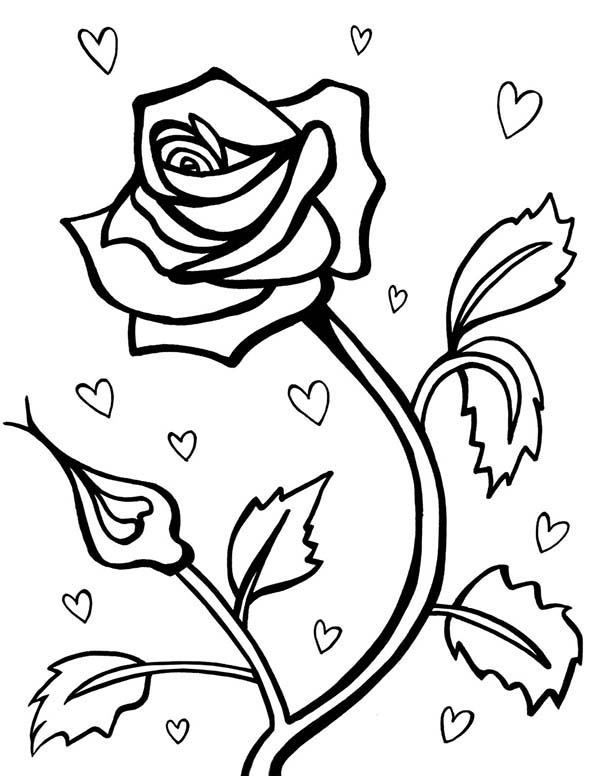 Rose For Valentine Day Coloring Page Rose For Valentine Day 600x776 Rose For Valentine Day Coloring Page Rose For Valentine Day