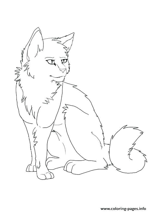 Tabby Cat Coloring Pages 595x842 Tabby Cat Coloring Pages