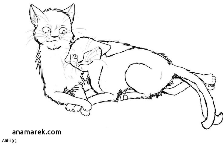 Warrior Cat Coloring Pages 736x490 Warrior Cat Coloring Pages