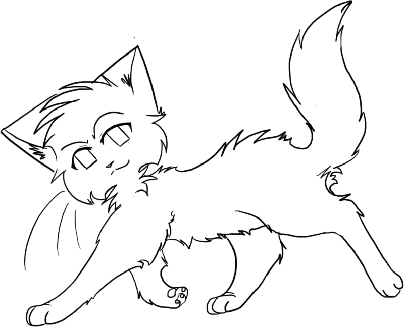 Warrior Cat Coloring Pages Warrior Cat Coloring Pages Beautiful 800x648 Warrior Cat Coloring Pages Warrior Cat Coloring Pages Beautiful