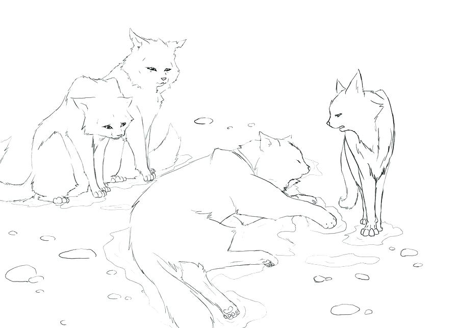 Warrior Cats Brightheart Pages Coloring Pages