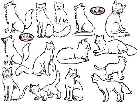 Warrior Cats Coloring Pages Warriors Cats Ng Pages Free Warrior 480x360 Warrior Cats Coloring Pages Warriors Cats Ng Pages Free Warrior