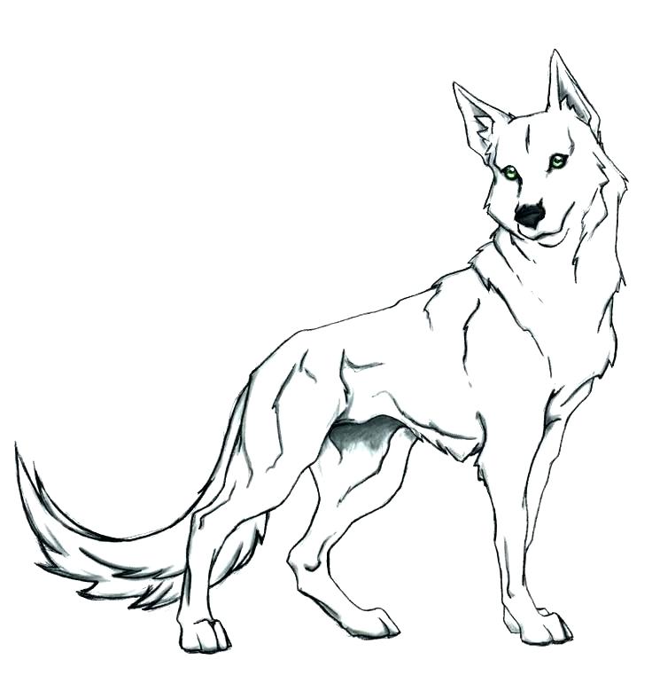 Cute Wolves Coloring Pages Wolf Click To See Printable Version 736x779 Cute Wolves Coloring Pages Wolf Click To See Printable Version