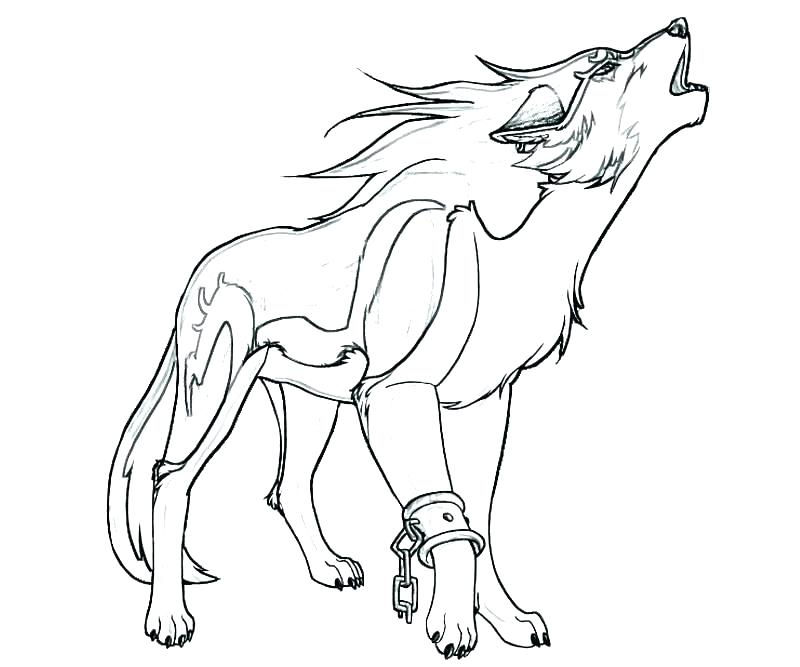 Coloring Pages Wolves Latest Realistic Wolf Coloring Page 800x667 Coloring Pages Wolves Latest Realistic Wolf Coloring Page