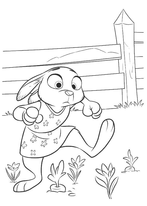 Zootopia Coloring Pages Zootopia 567x794 Zootopia Coloring Pages Zootopia